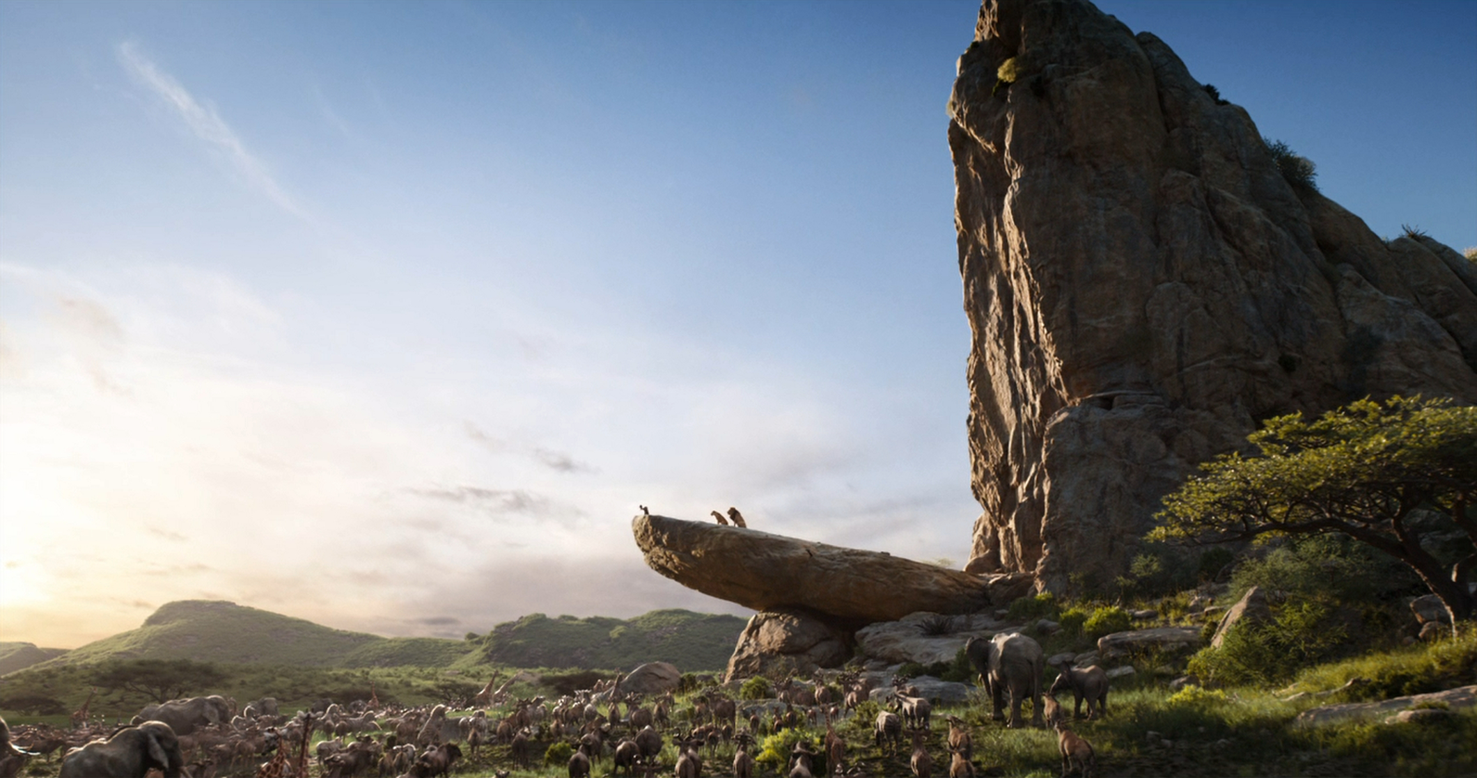 The Lion King