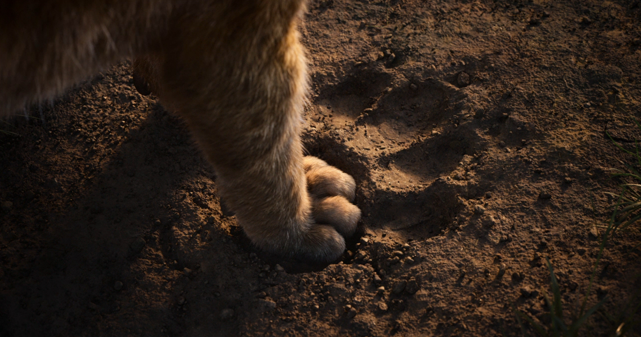 The Lion King