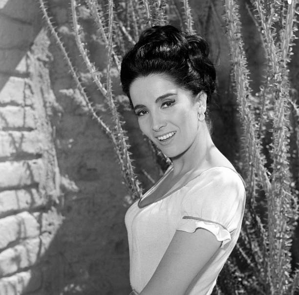 Linda Cristal