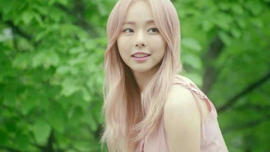 ViVi