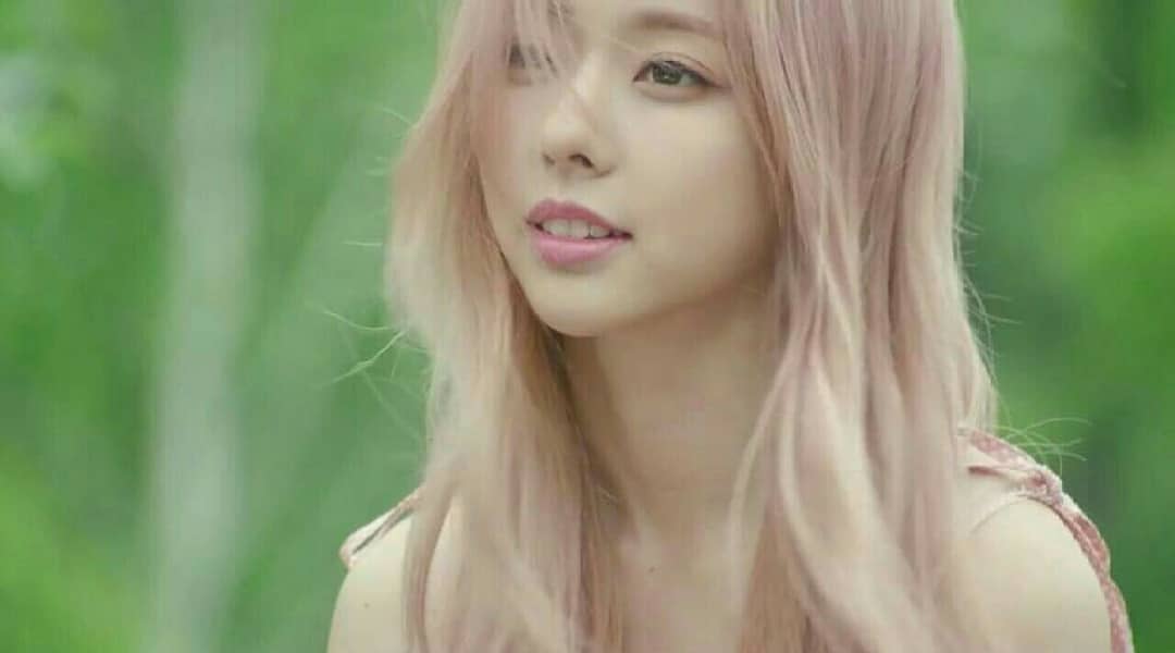 ViVi