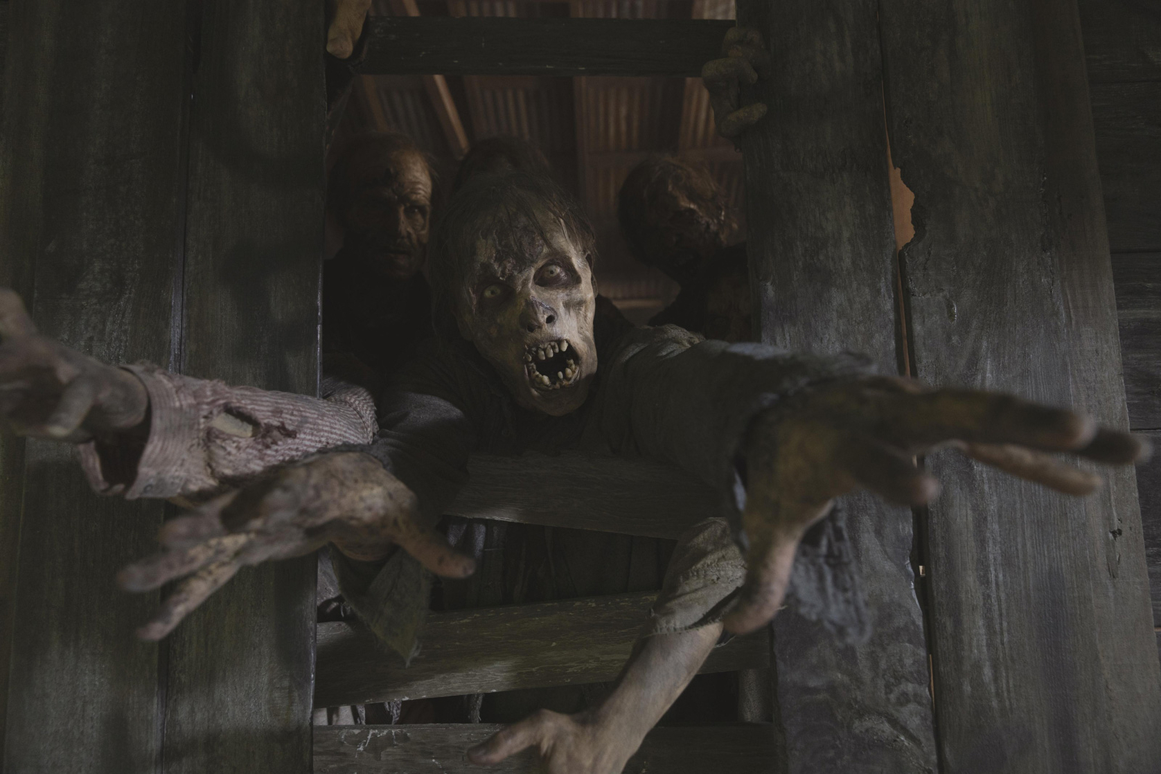 The Walking Dead