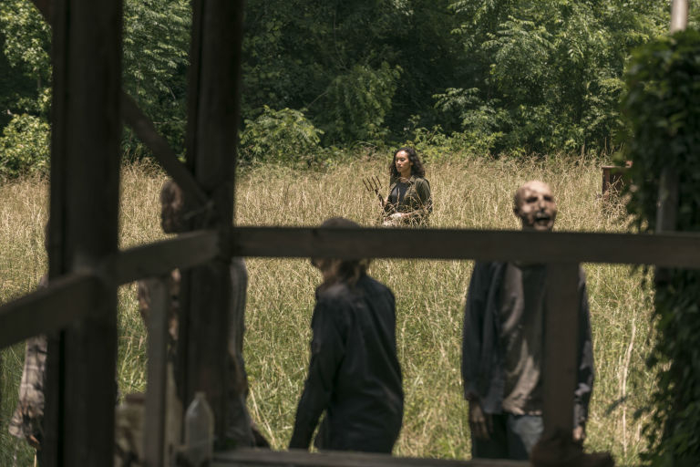 The Walking Dead