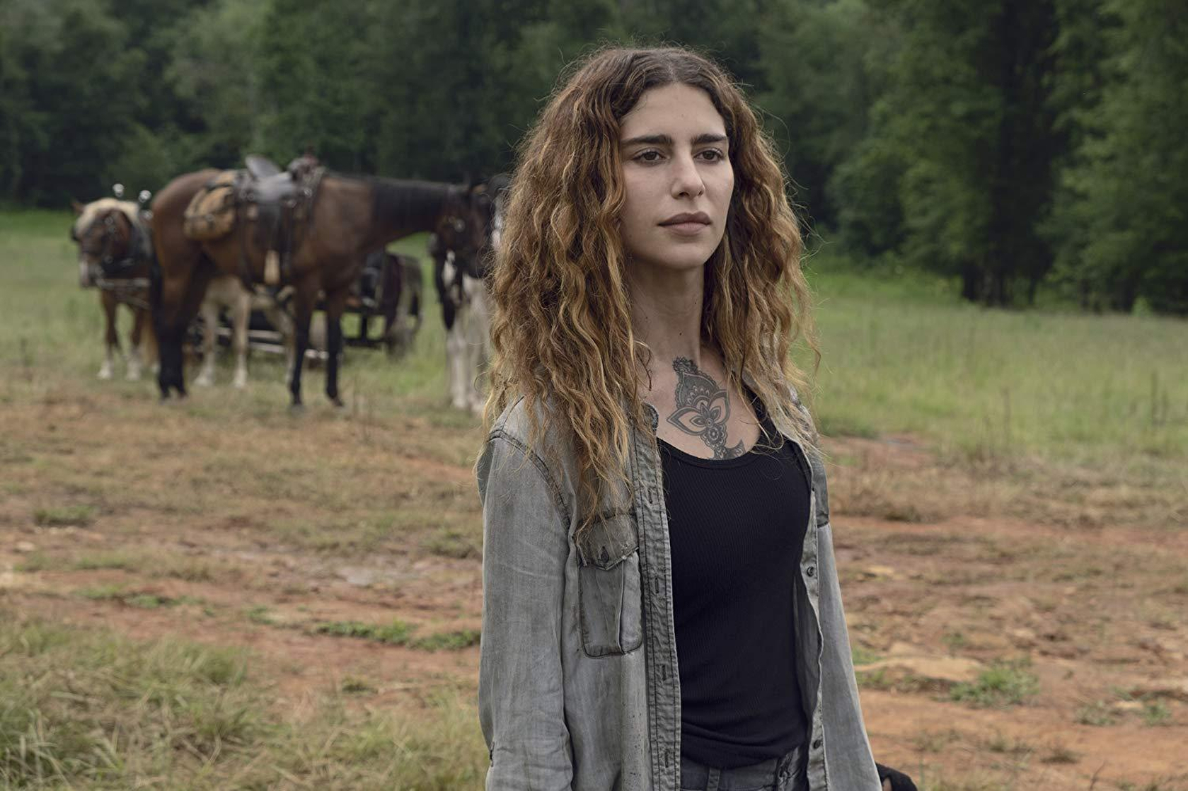 The Walking Dead The Walking Dead