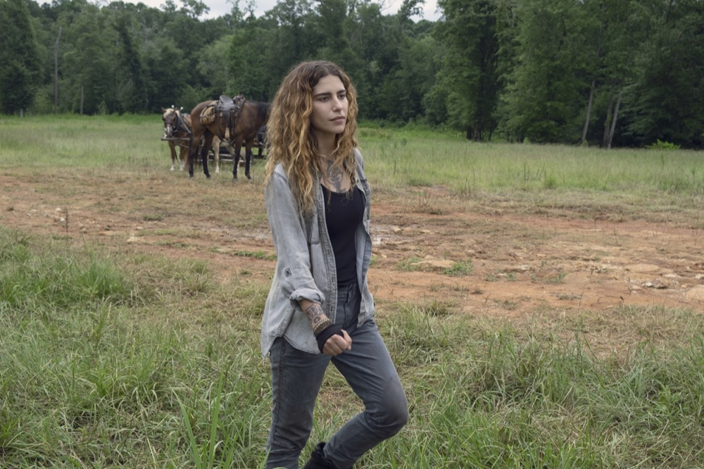 The Walking Dead The Walking Dead
