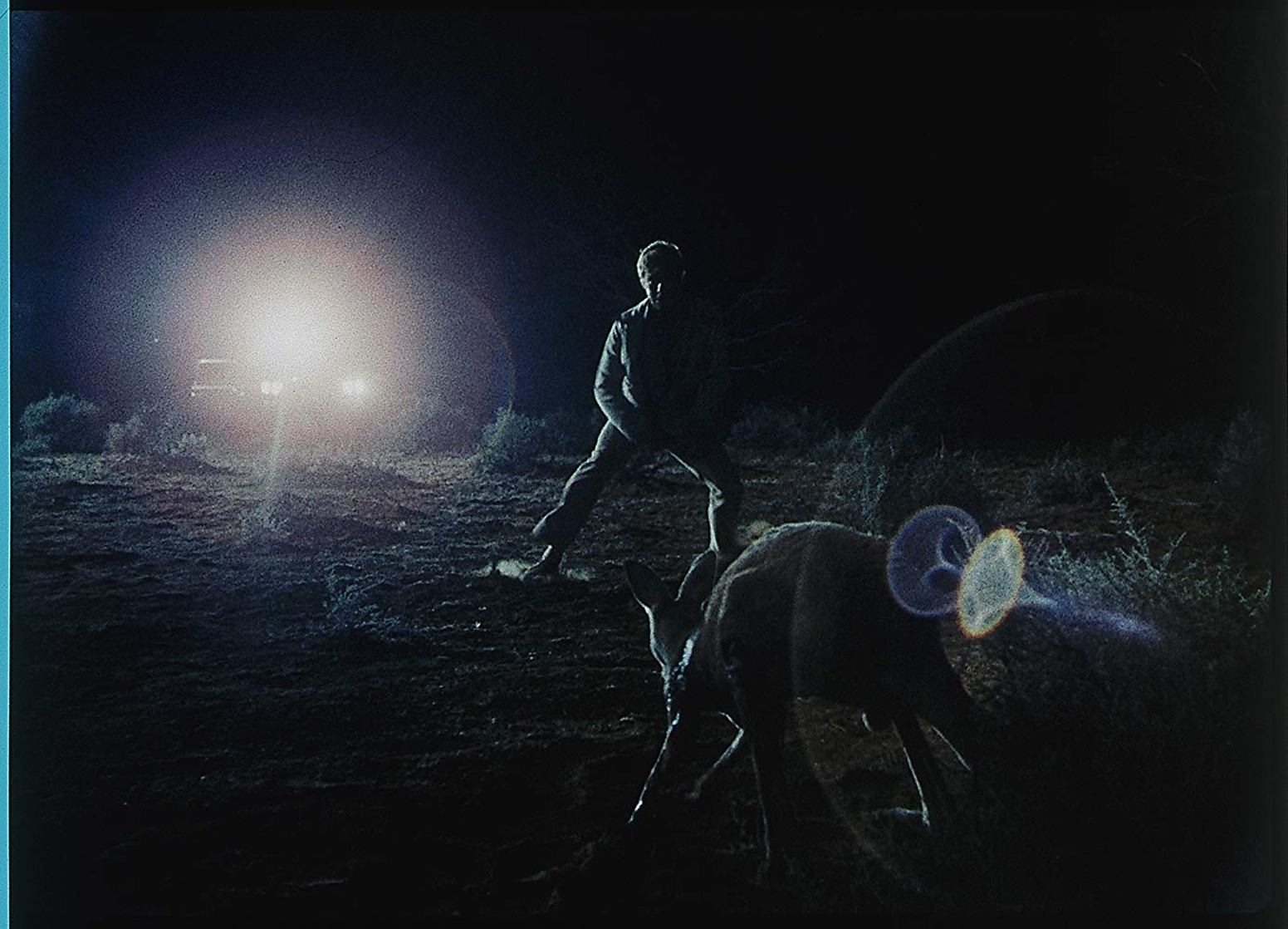Wake in Fright Wake in Fright