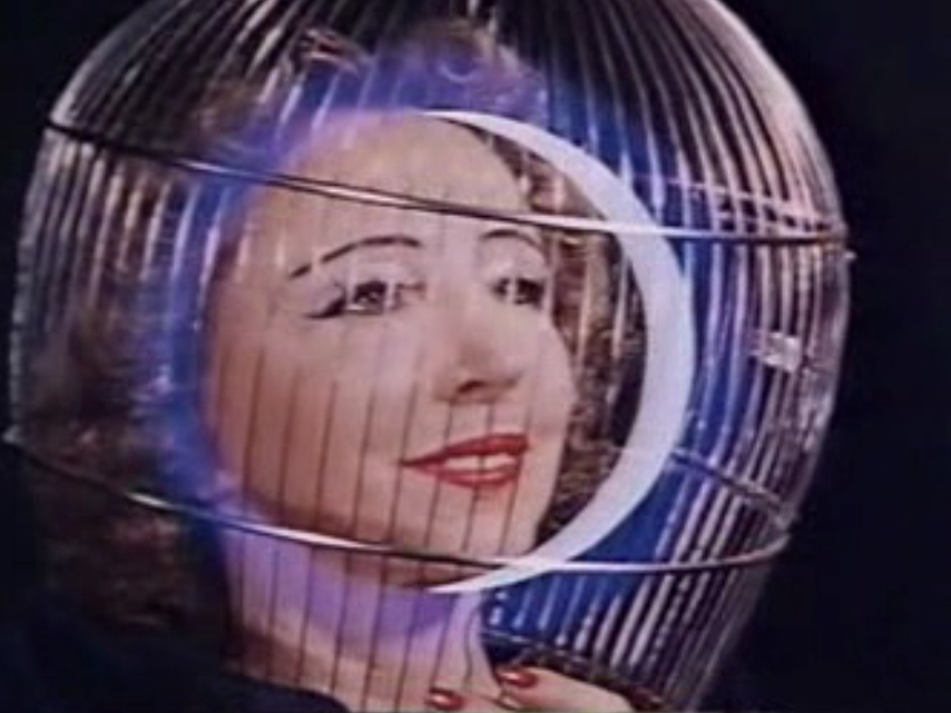 Inauguration of the Pleasure Dome