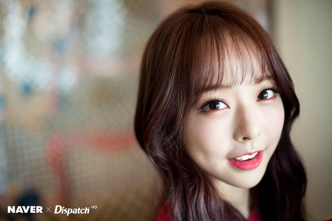 ViVi