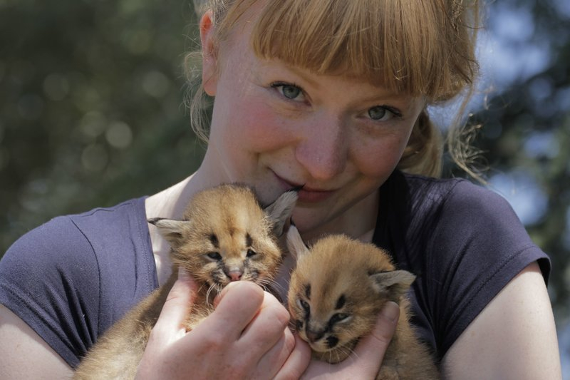 Grit Paulussen picture