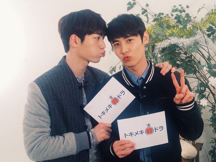 5urprise