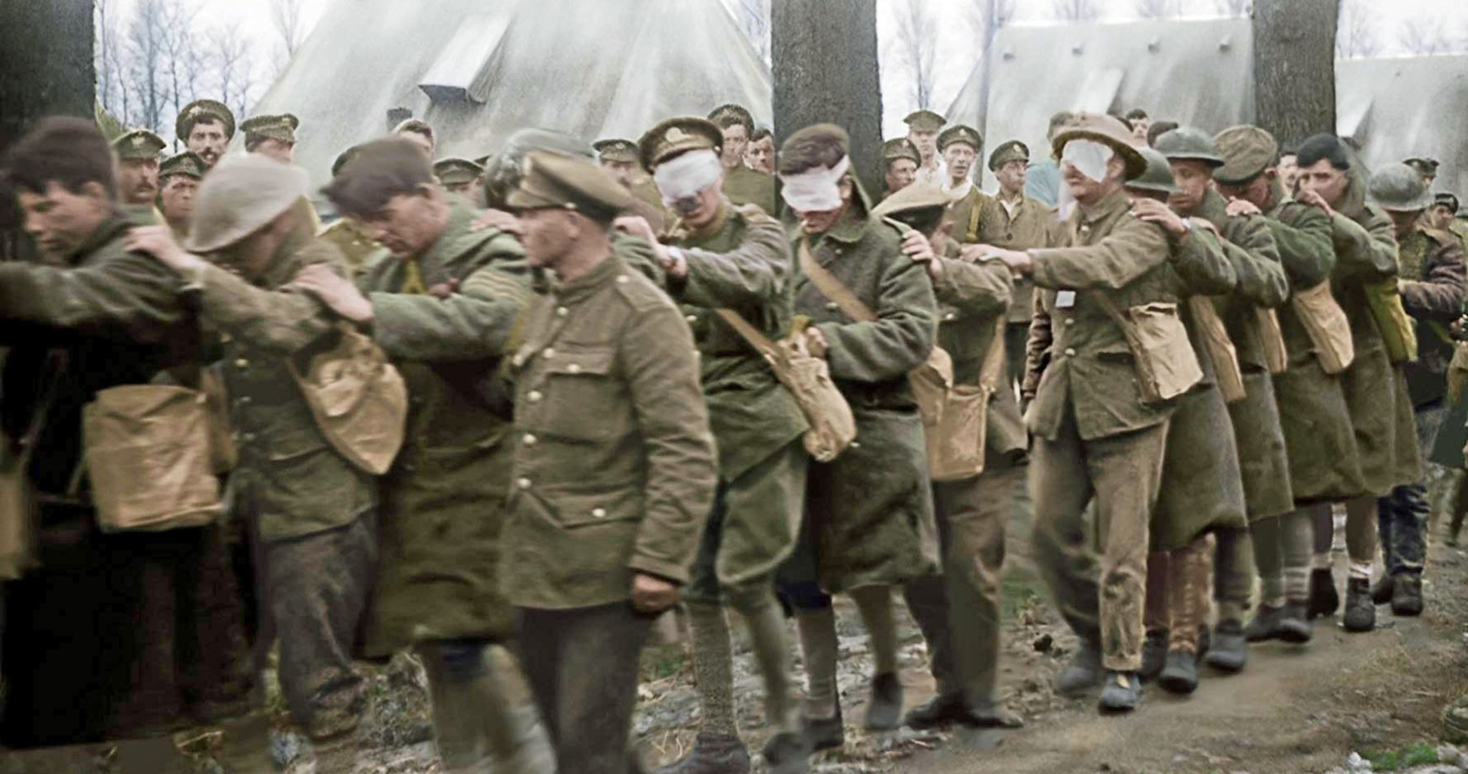 Picture of they shall not grow old