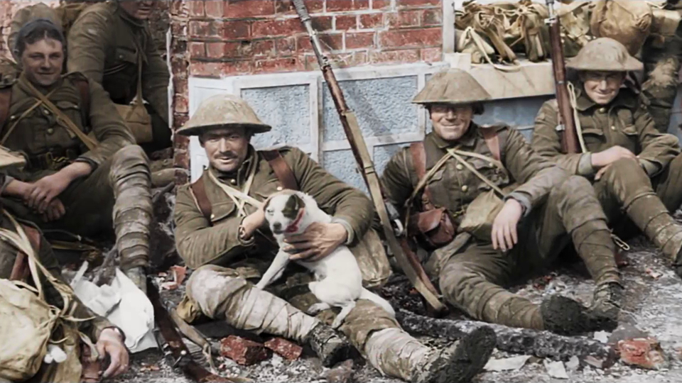 Picture of they shall not grow old