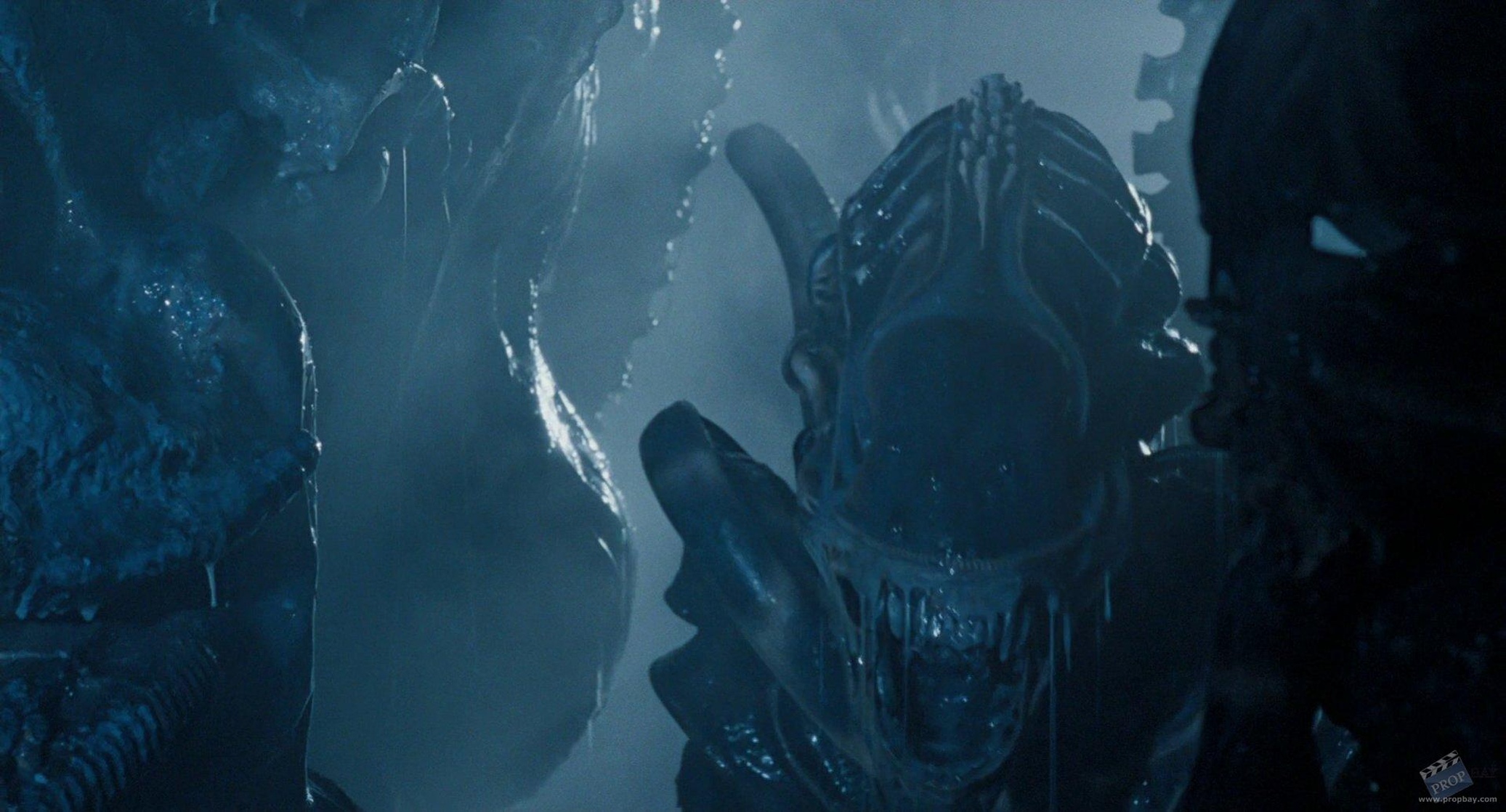 Aliens Aliens