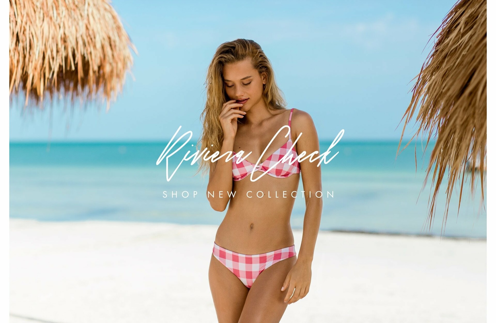Chase Carter Chase Carter