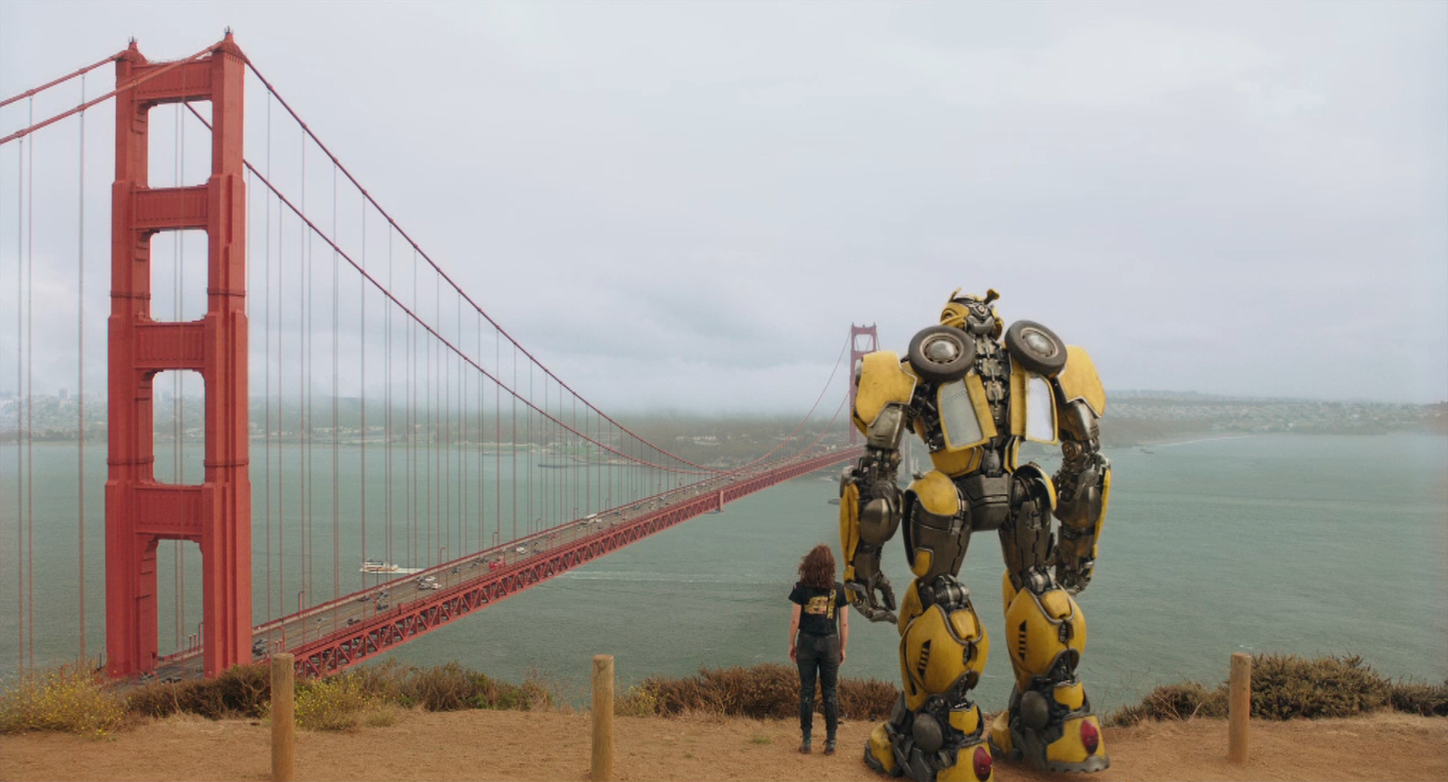 Bumblebee Bumblebee