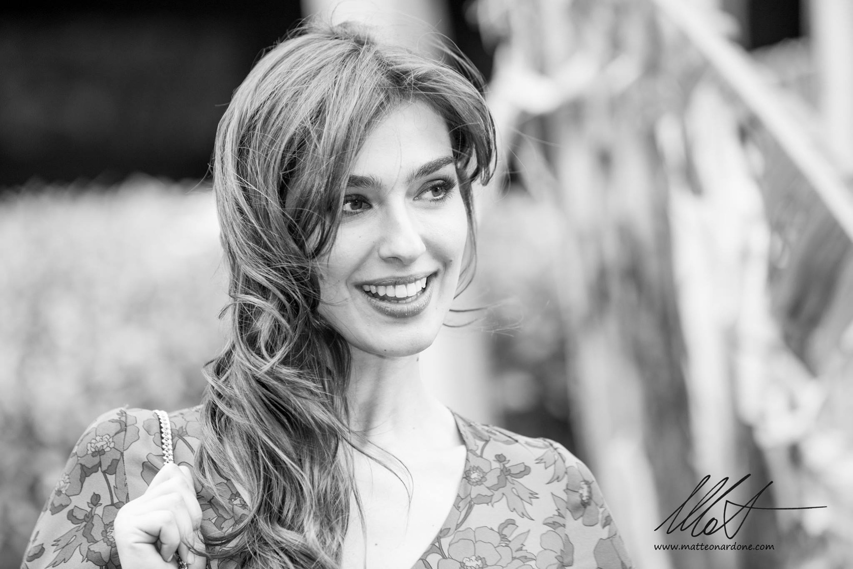 Stella Egitto