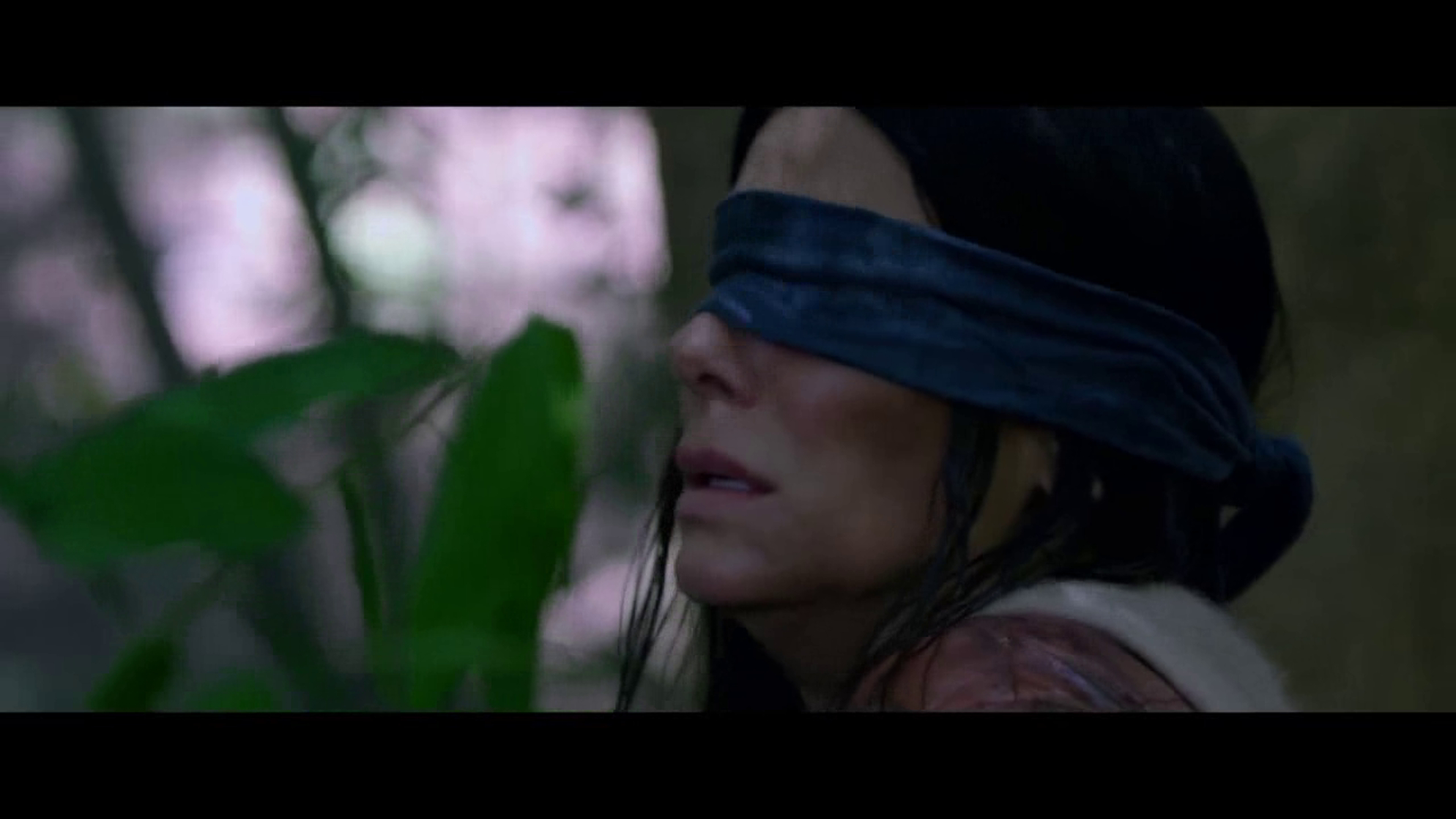 Bird Box