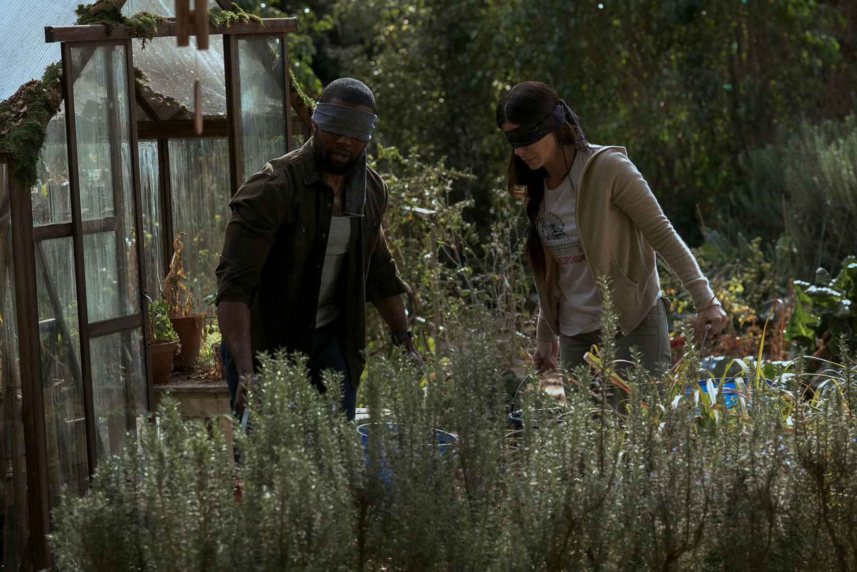 Bird Box Bird Box