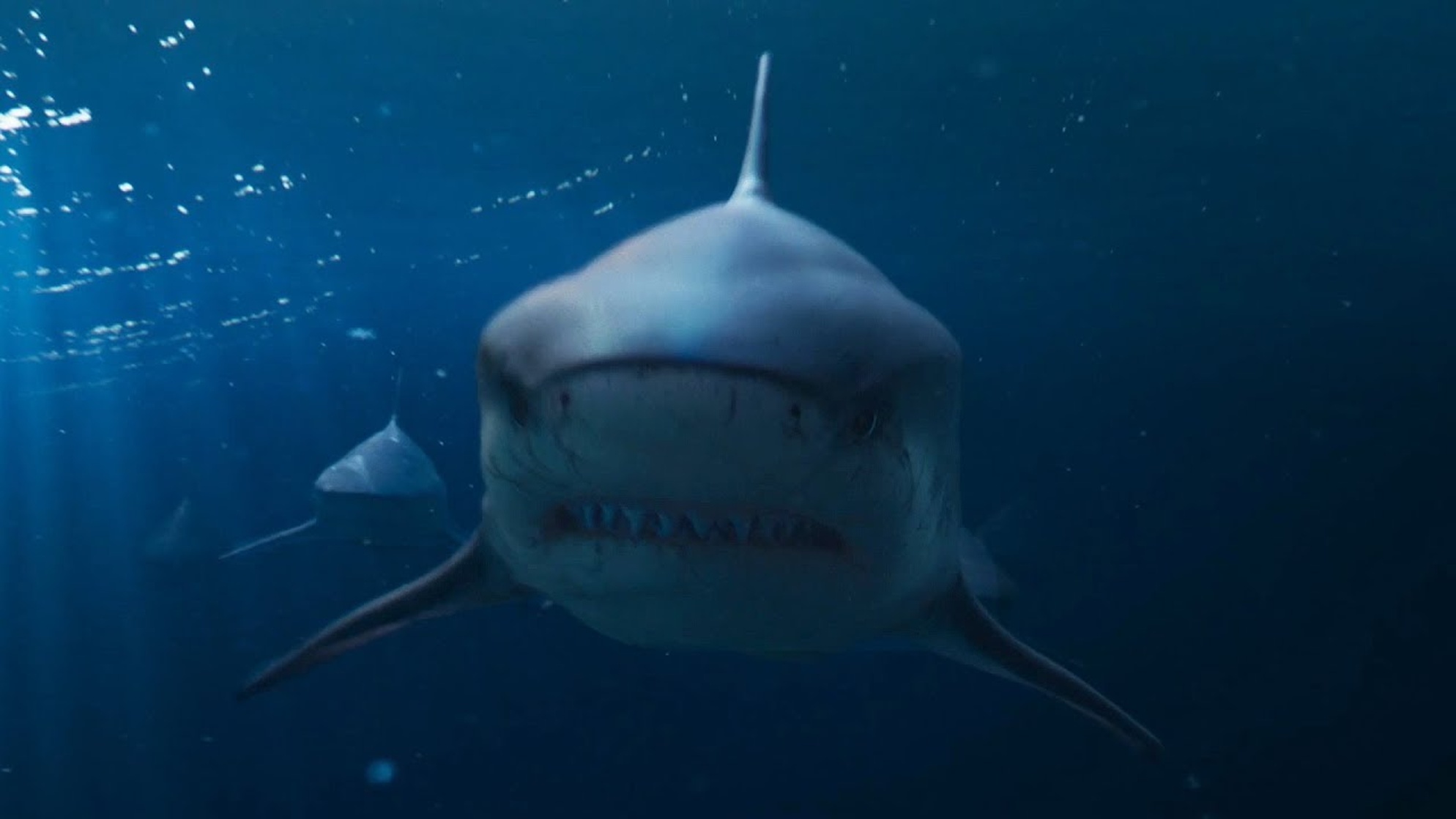 Deep Blue Sea 2                                  (2018)