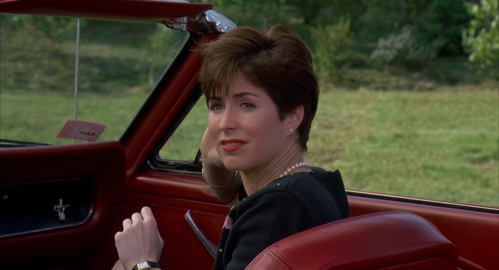 Housesitter Housesitter