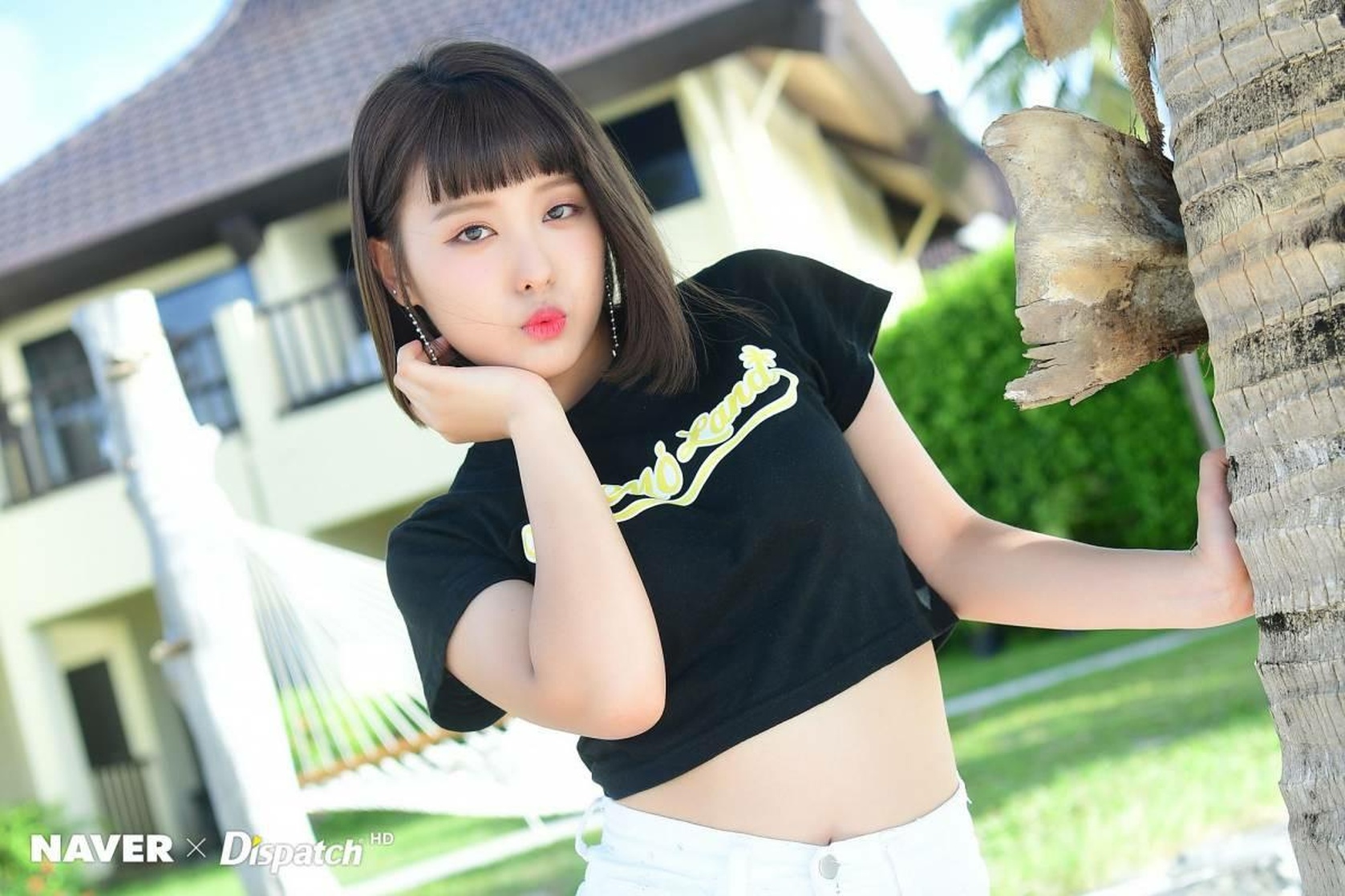 Ahin Ahin