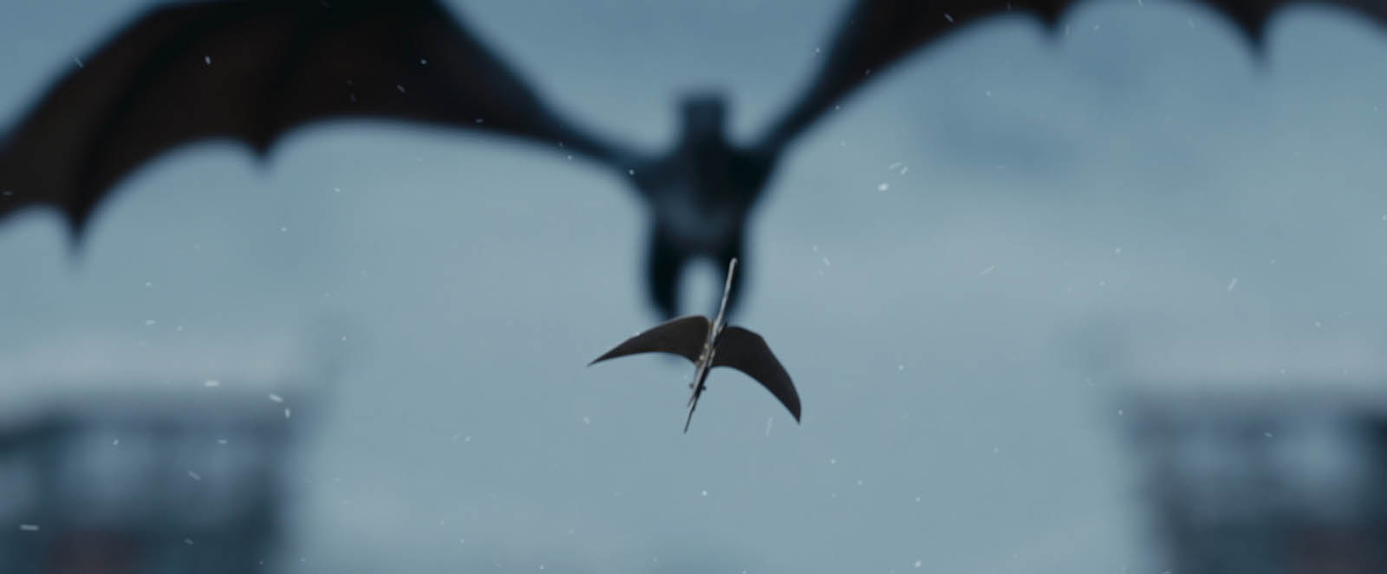 Picture of I Am Dragon / Dragon