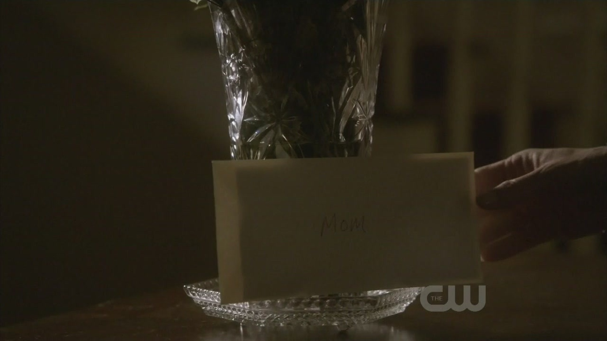 The Vampire Diaries