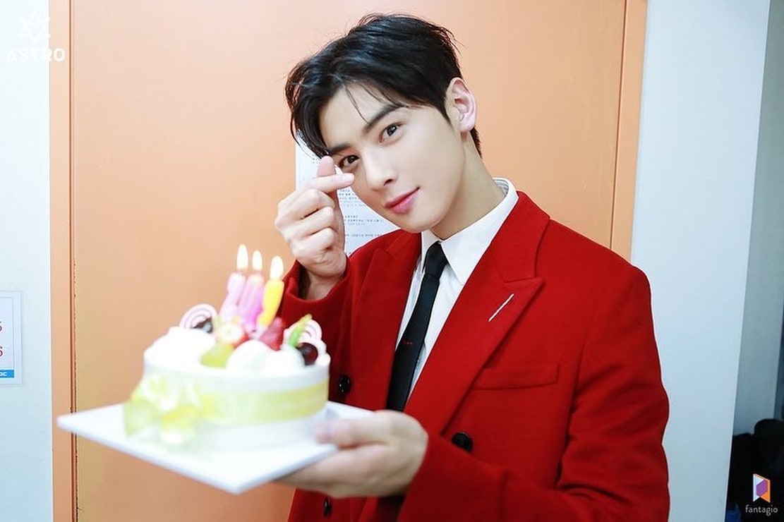 cha eun woo plush doll