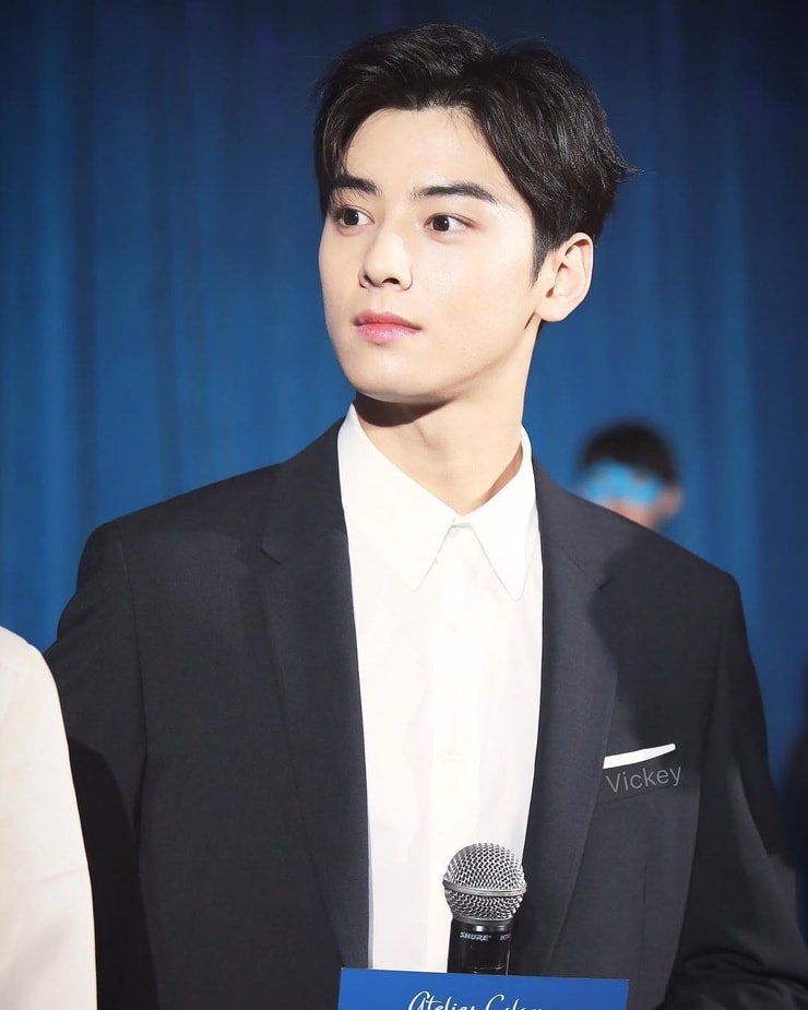 Picture of Cha Eun Woo