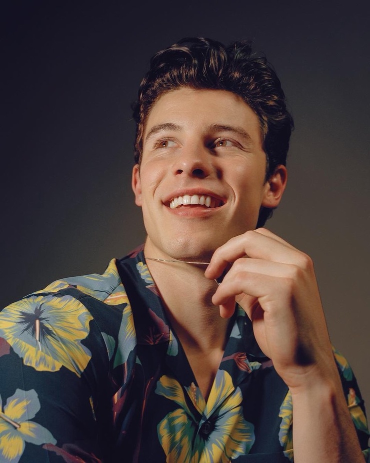 Picture of Shawn Mendes