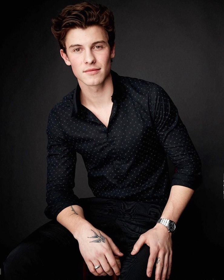 Picture of Shawn Mendes