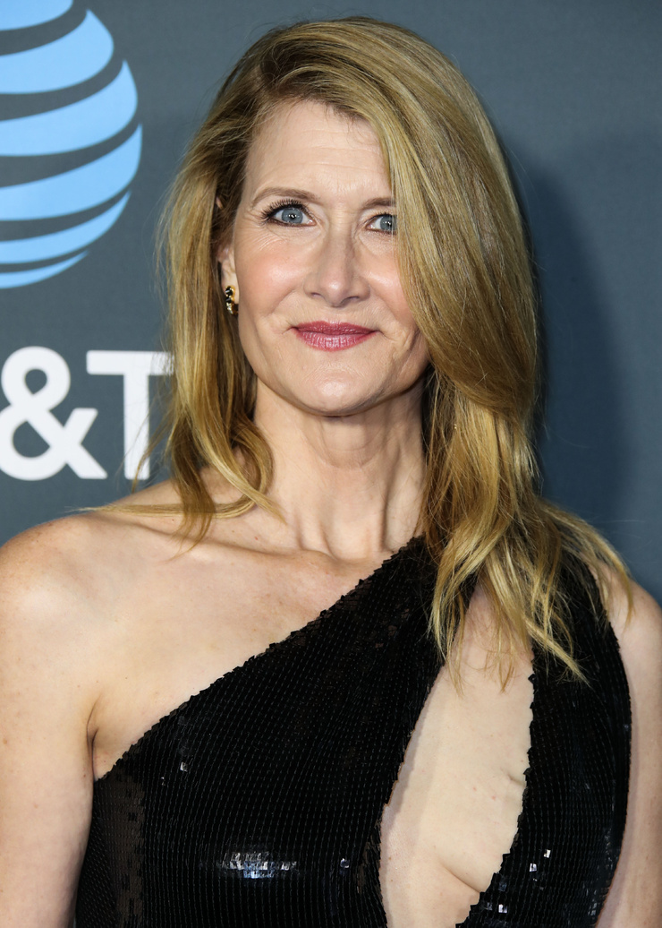 Picture of Laura Dern