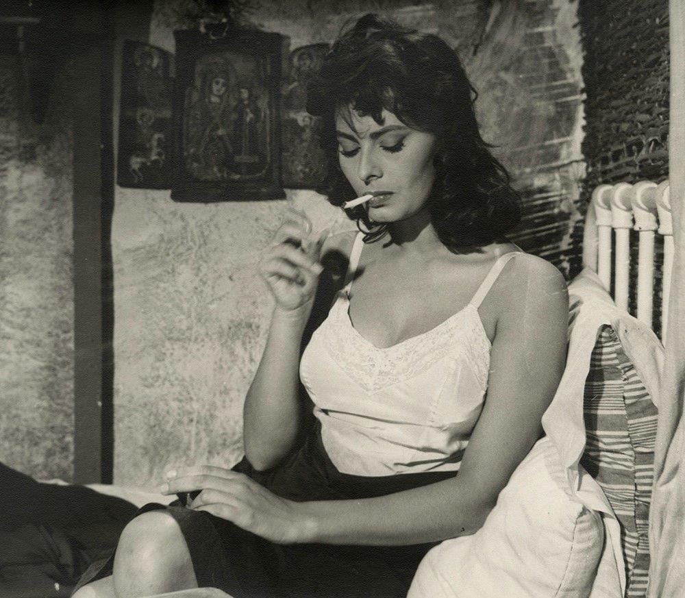 Picture of Sophia Loren