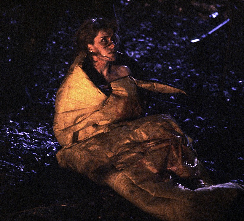 Friday the 13th Part VII: The New Blood