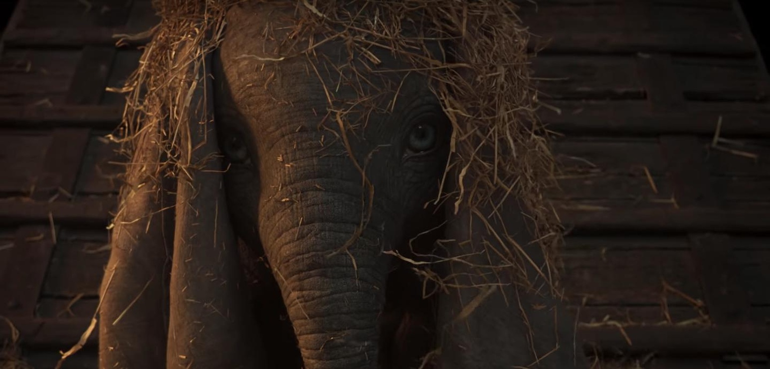 Picture of Dumbo