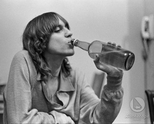 Picture of Iggy Pop