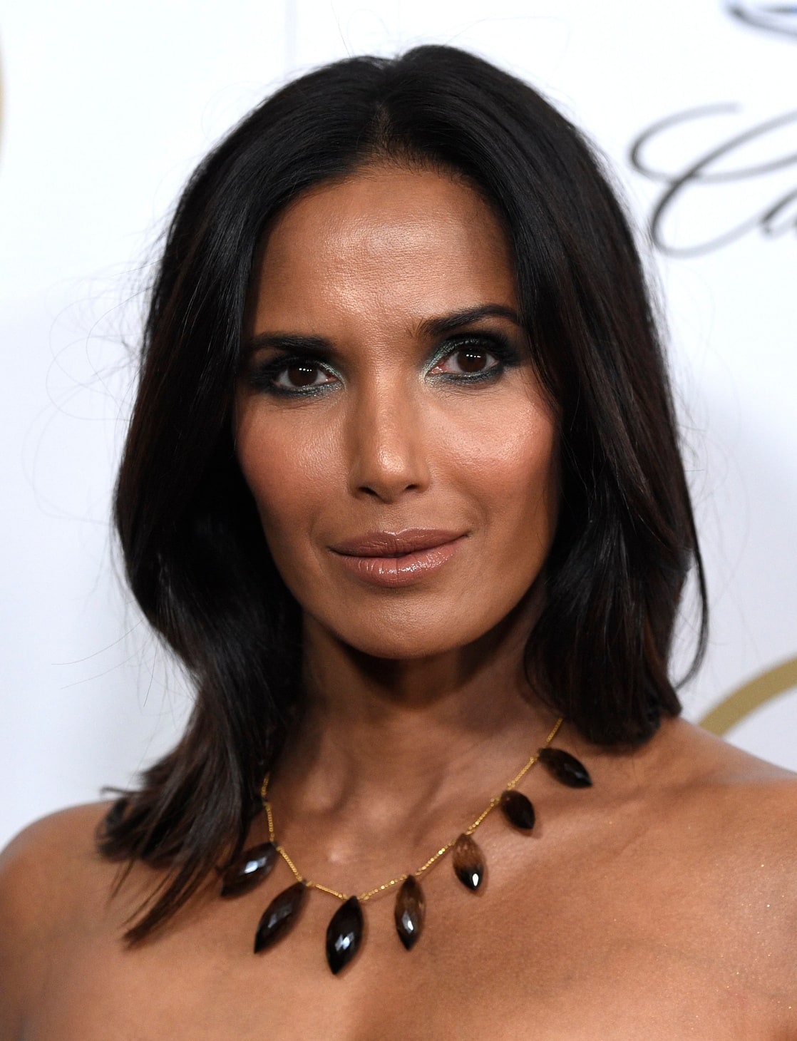 Picture of Padma Lakshmi