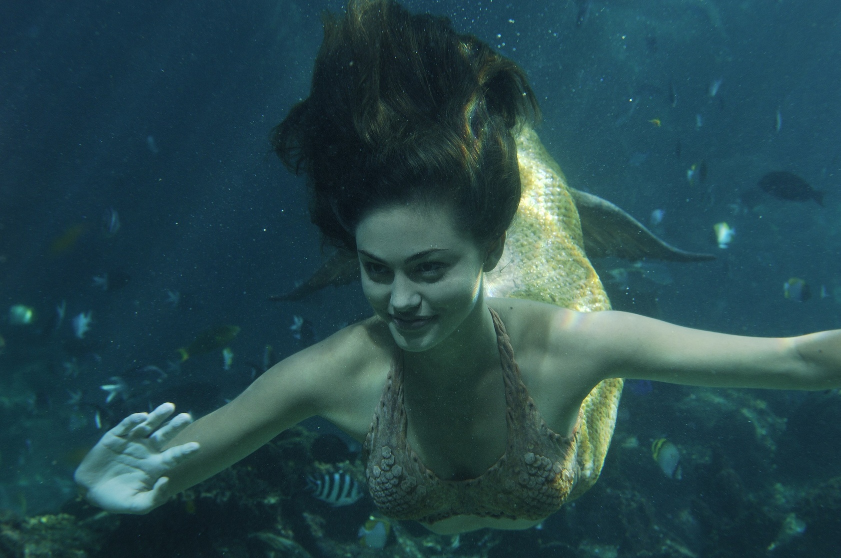 Phoebe Tonkin Phoebe Tonkin