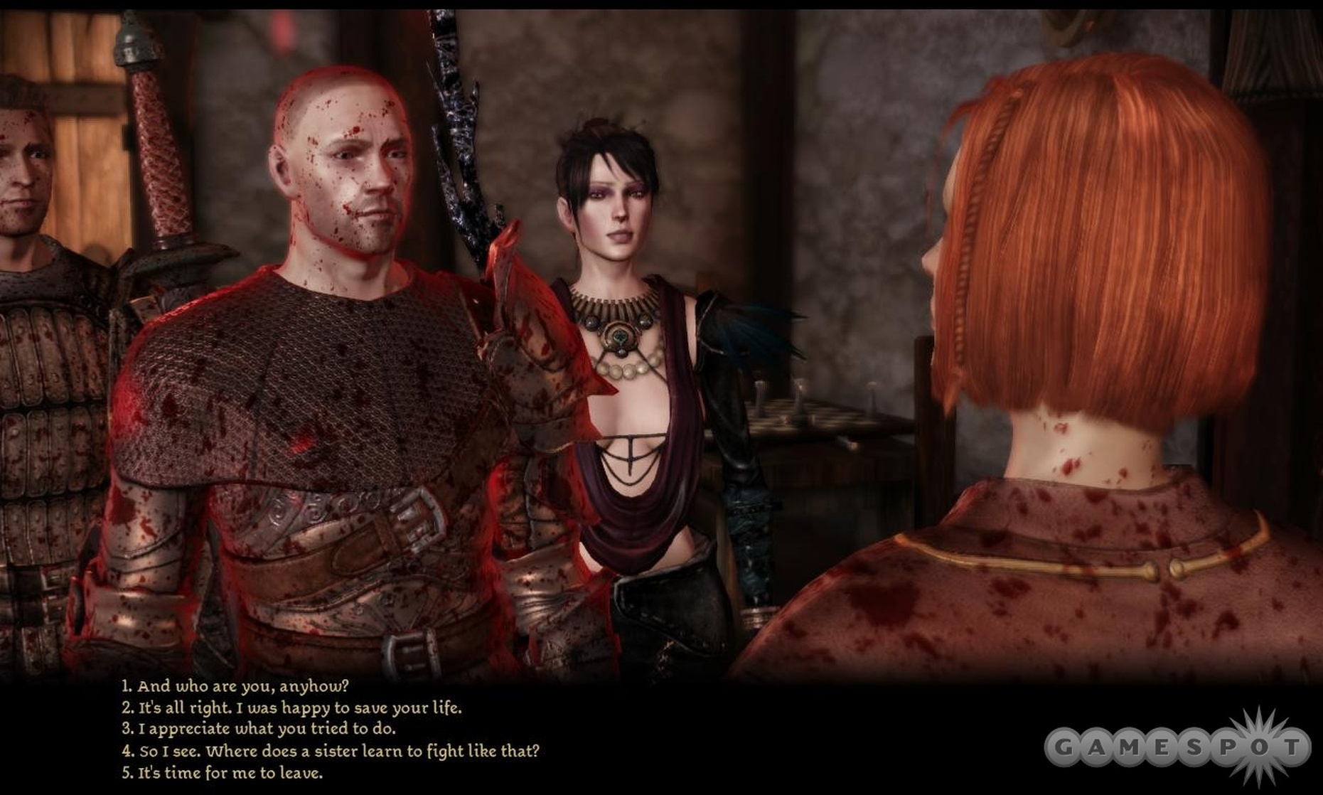 Dragon Age: Origins