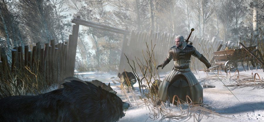 The Witcher 3: Wild Hunt