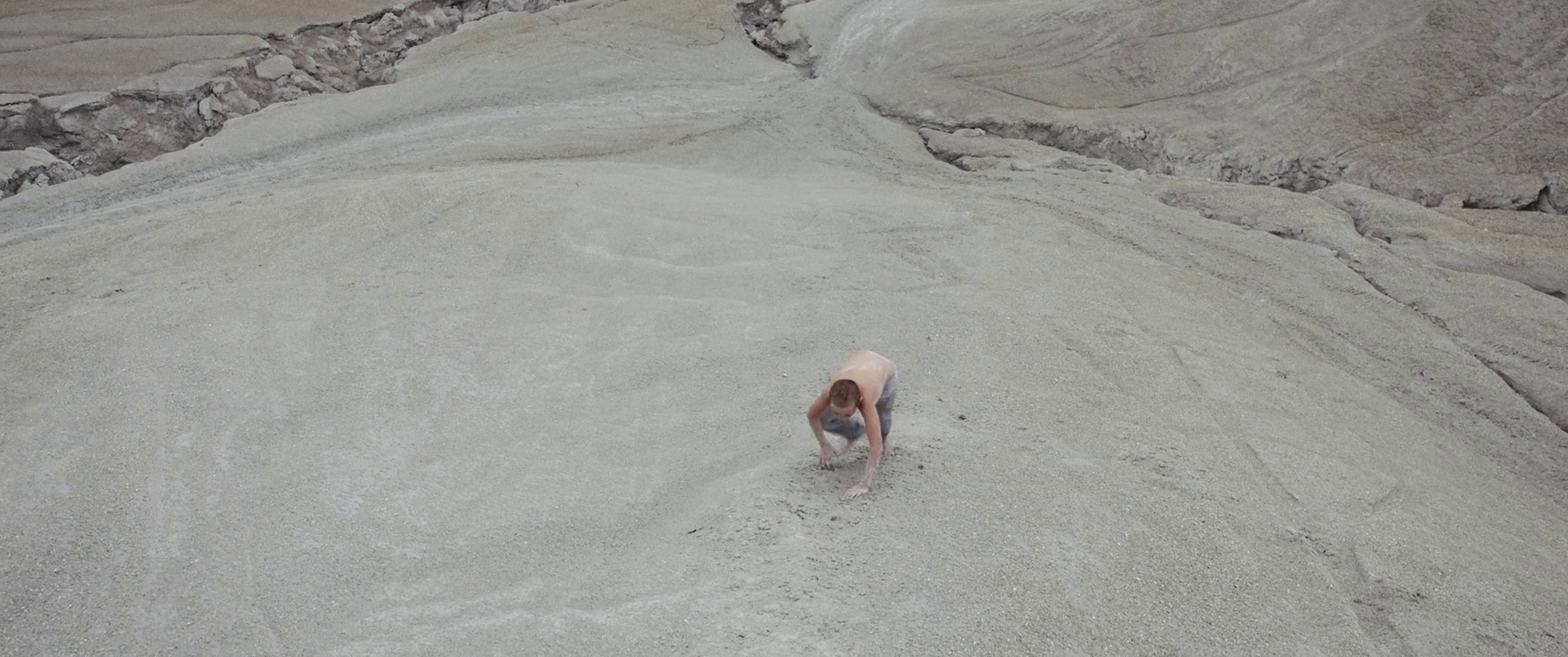 Fauve