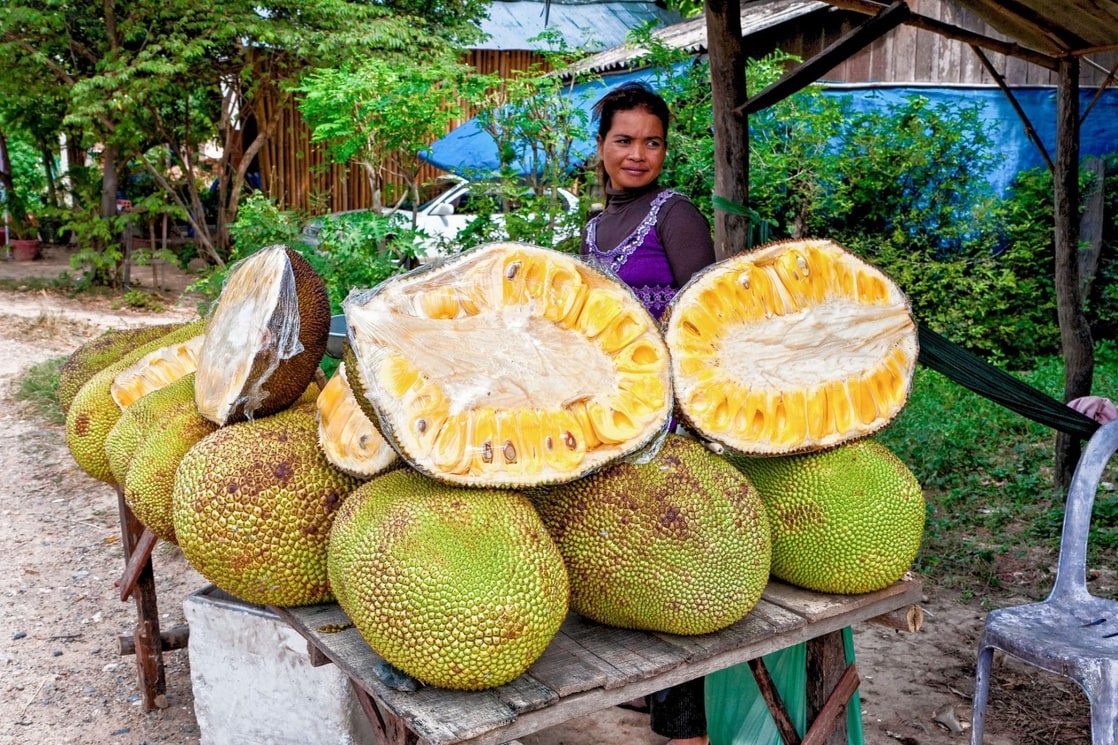 Jackfruit