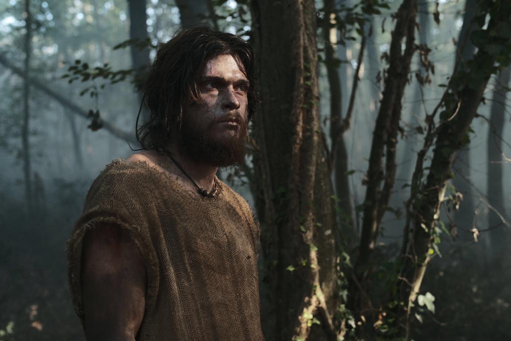 Picture of Romulus & Remus The First King