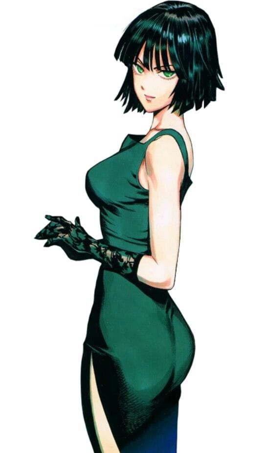 Picture of Fubuki (One Punch Man)