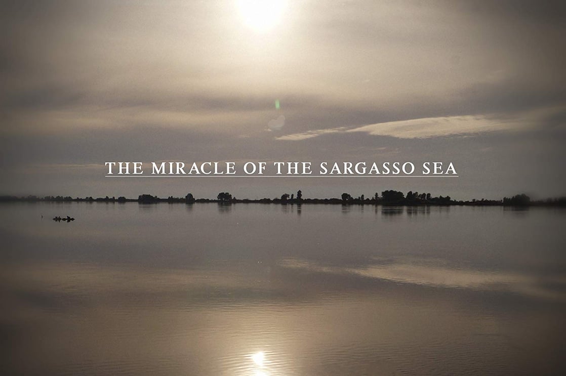 The Miracle of the Sargasso Sea