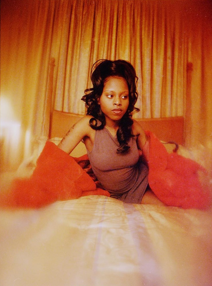 Picture Of Foxy Brown 