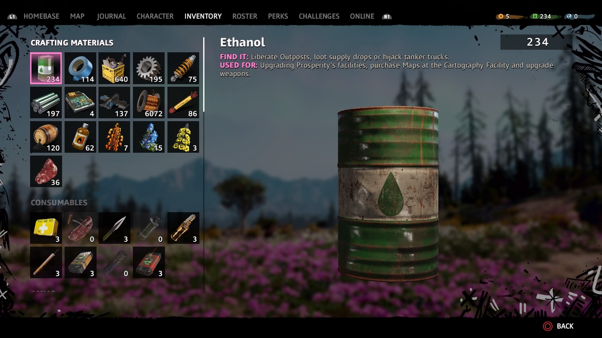 Far Cry: New Dawn