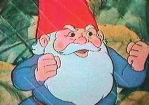 Picture of David the Gnome