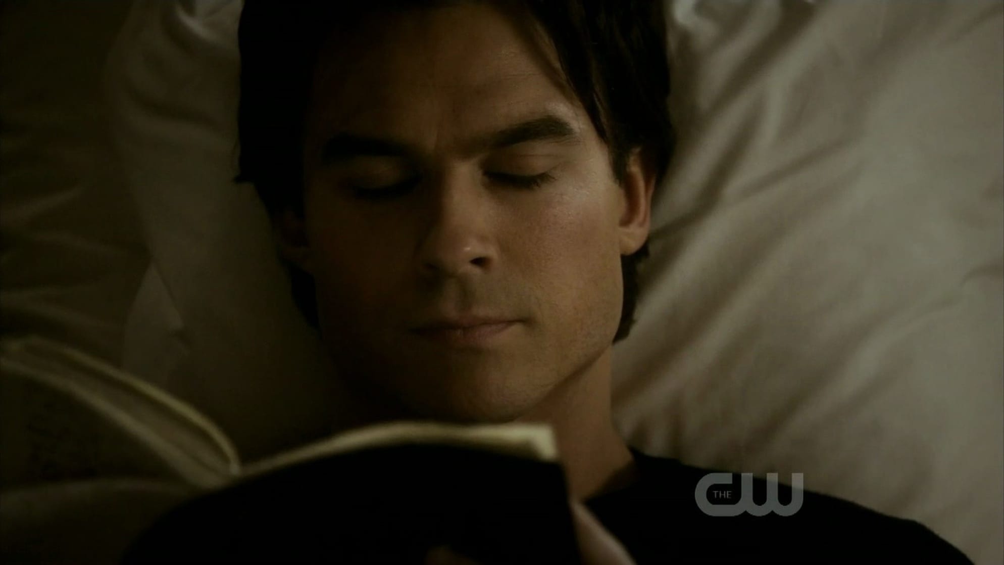 The Vampire Diaries The Vampire Diaries