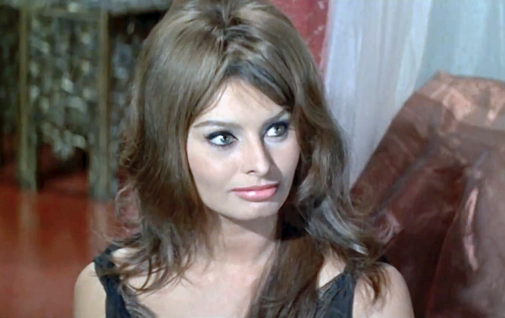 Sophia Loren Sophia Loren